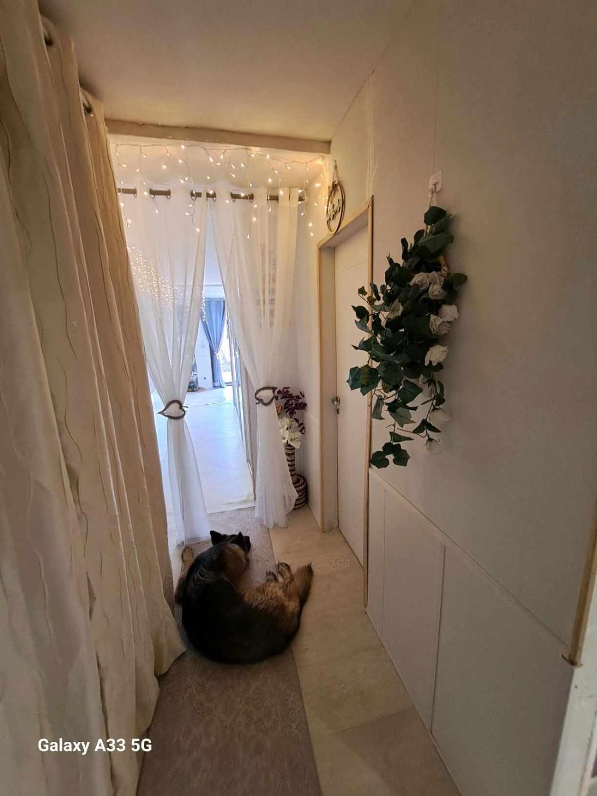 Chambre Appartement Terrasse Fréjus Eksteriør bilde